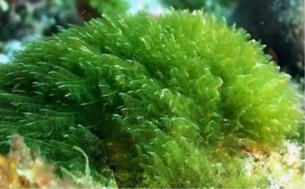 一站式护肤品oem