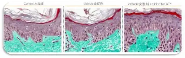 推荐的化妆品oem生产厂家