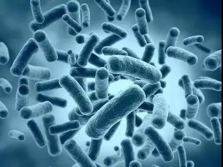 化妆品oem贴牌加工厂家