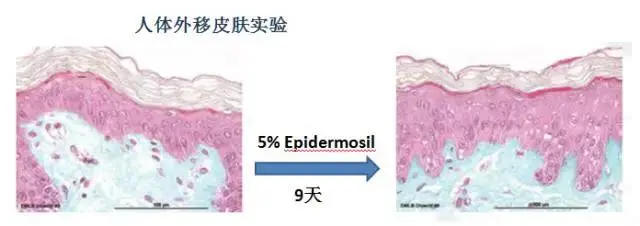 护肤品oem代加工公司