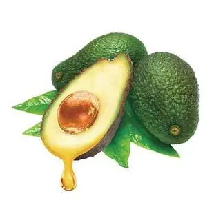 oem化妆品公司