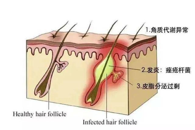 生产化妆品公司