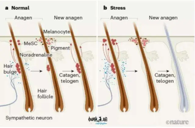 化妆品工厂代加工