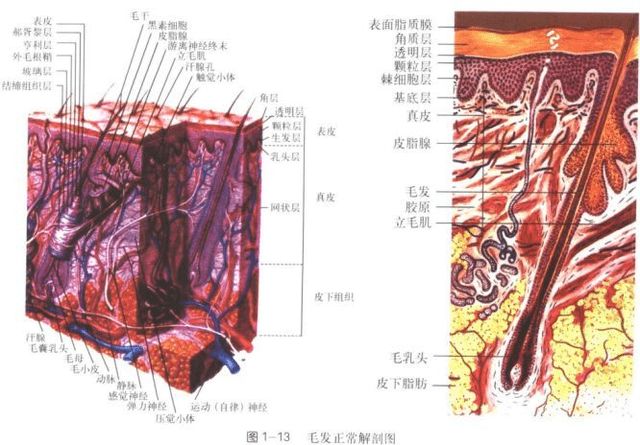 化妆品OEM代加工生产