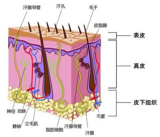 化妆品生产厂家