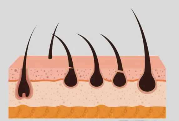 化妆品代加工生产