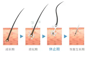 化妆品代加工公司