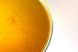 化妆品厂家基地