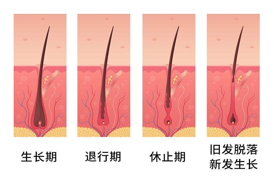 化妆品代工生产厂商