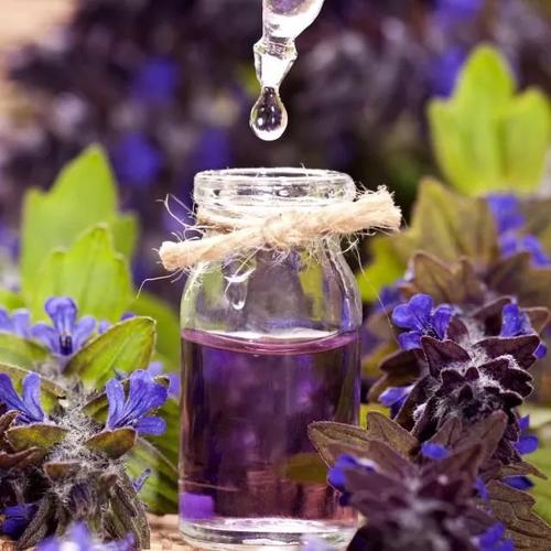 植物化妆品生产公司