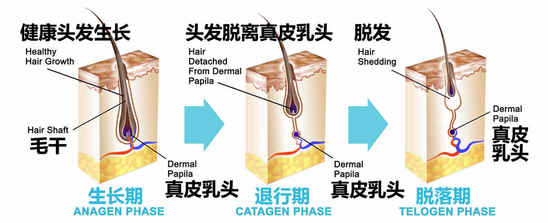 生发剂