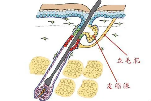 化妆品生产代加工厂