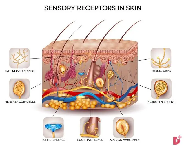 广东省化妆品生产企业