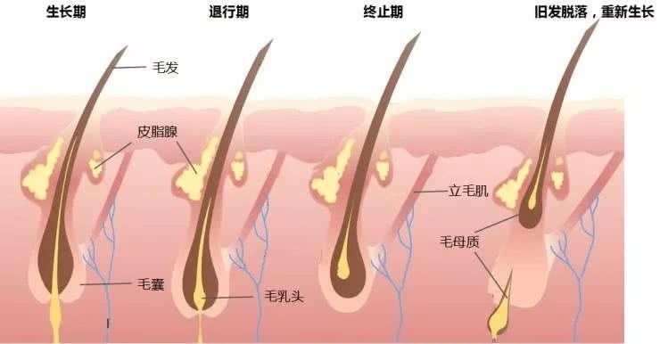 想加工护肤品