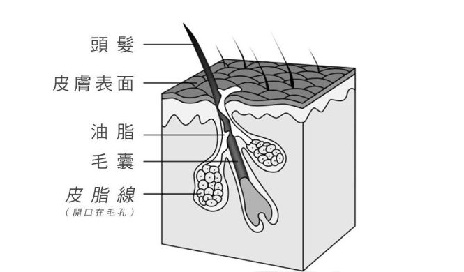 加工护肤品厂家