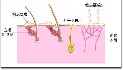 化妆品精细化工厂家