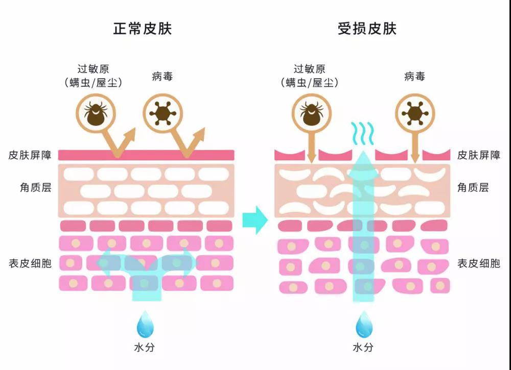 进口护肤品oem代加工厂家