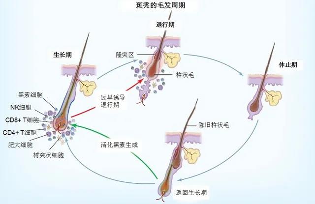 生发产品厂家