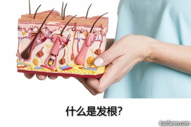 防脱育发液