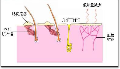 快速的生发产品