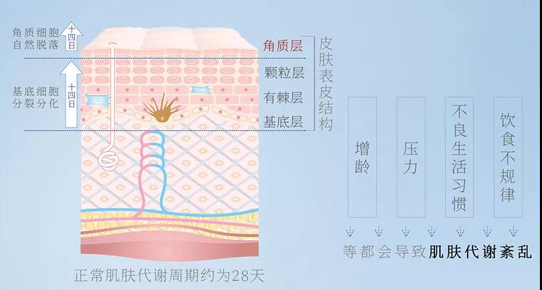 oem护肤品加工