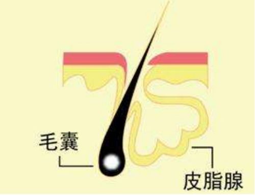 化妆品oem代生产公司