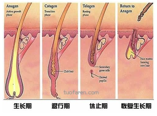 护肤品加工厂家