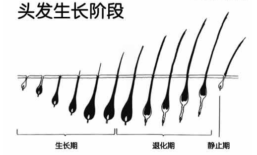 化妆品产品代加工厂
