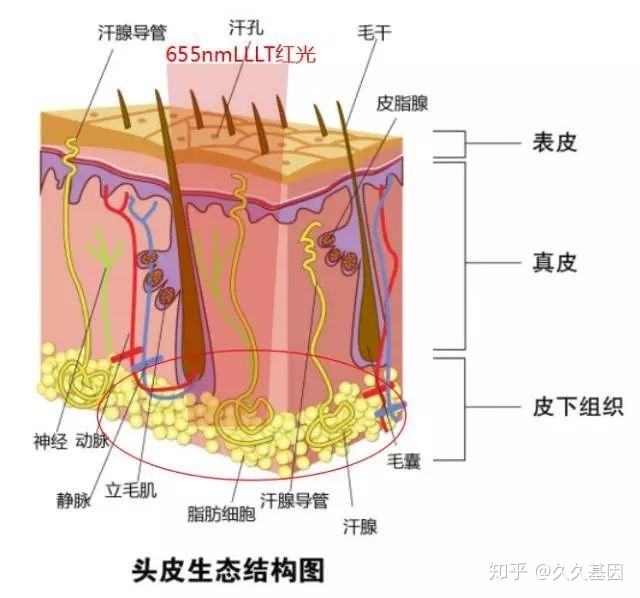 护肤品oem生产厂家