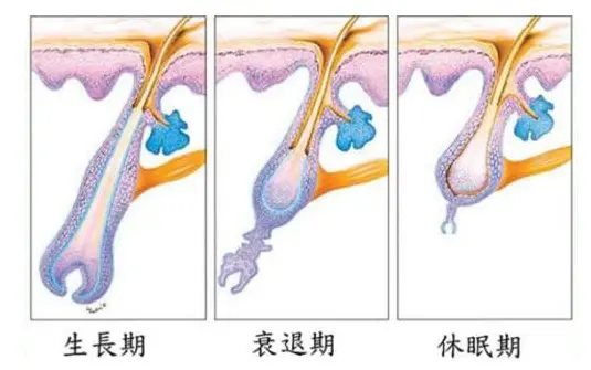 化妆品研发oem公司