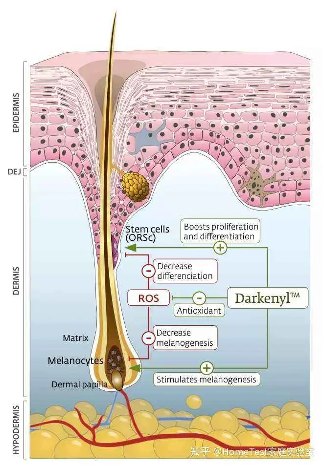 化妆品oem贴牌工厂