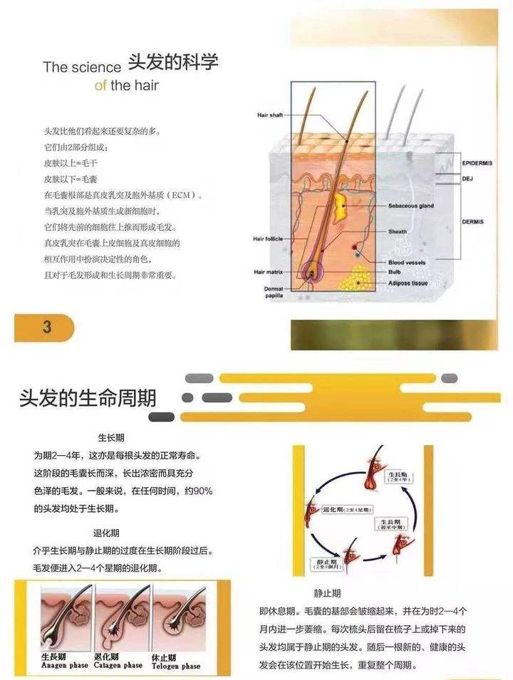 特证防脱育发液oem,