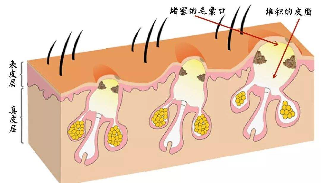  化妆品生产研发工厂