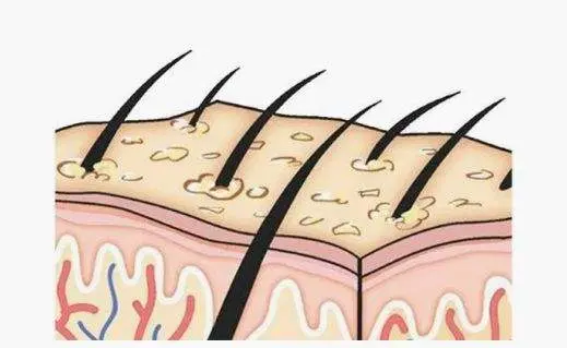 oem育发化妆品代加工厂家