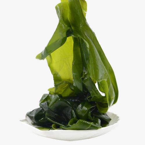 专业线化妆品生产厂家