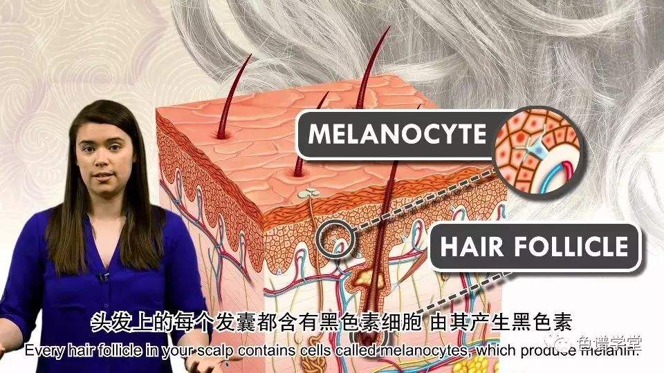 什么产品可防脱生发