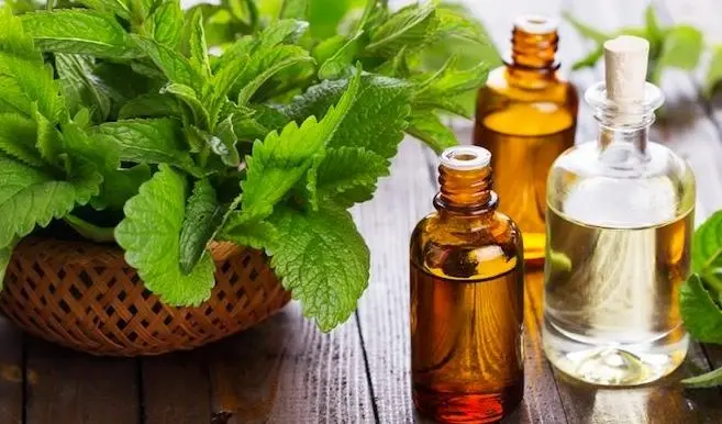 育发化妆品代工厂家