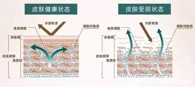 护肤品化妆品厂家