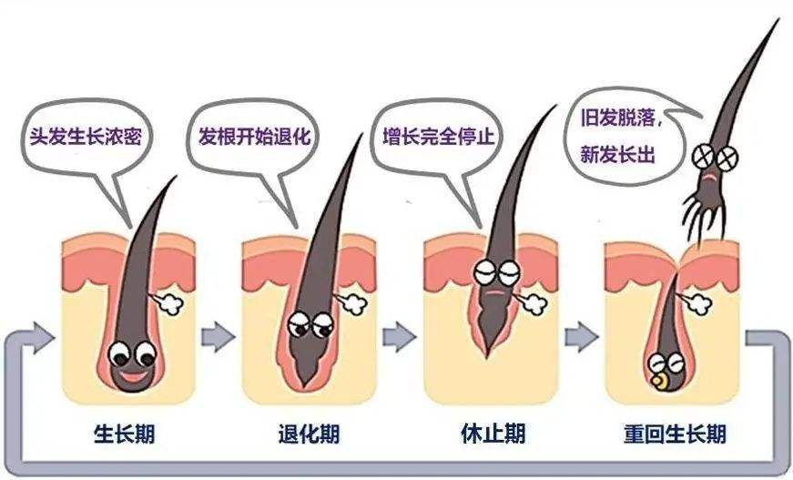 专业线化妆品代加工厂