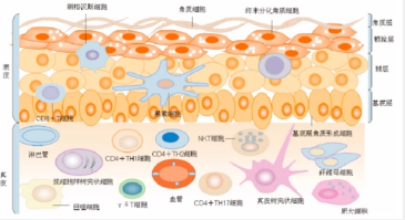 护肤品oem商