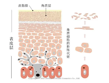 委托生产护肤品