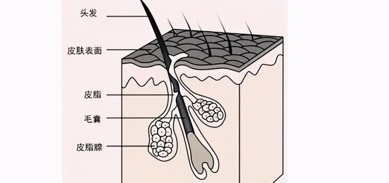 专业线oem化妆品厂家