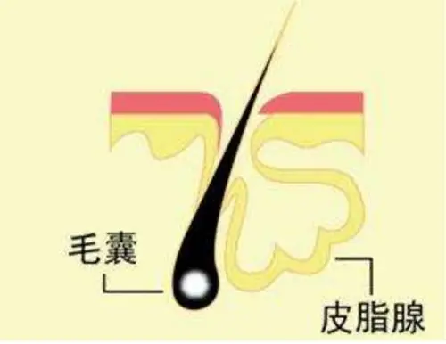 育发化妆品oem加工厂家