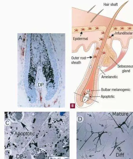 化妆品公司生产洗发水