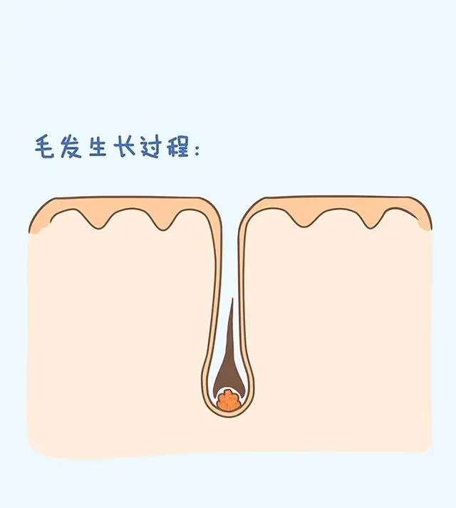 即生发又黑发产品