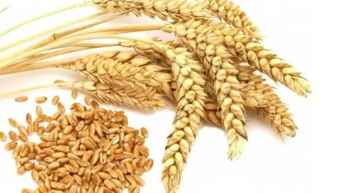 止脱生发产品排行