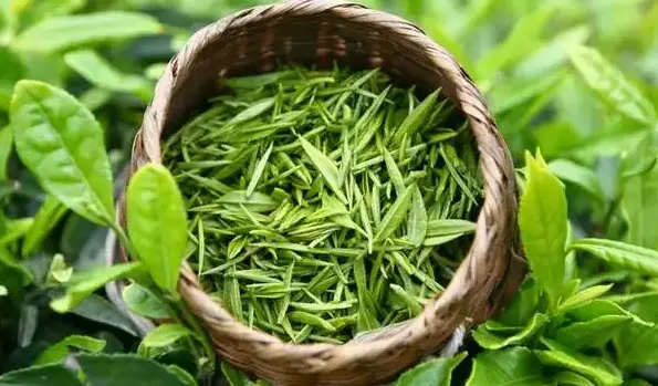 中国好的生发产品