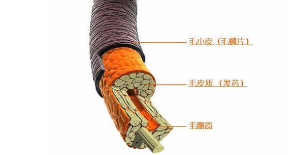 生发好产品