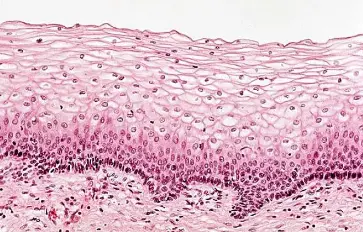 化妆品定制厂家