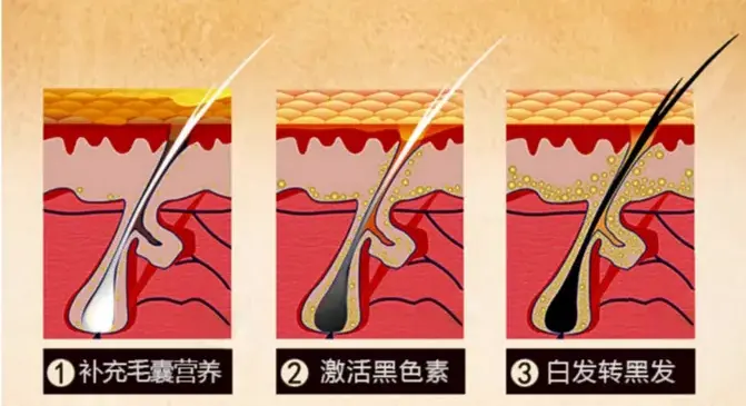 育发产品代生产厂家